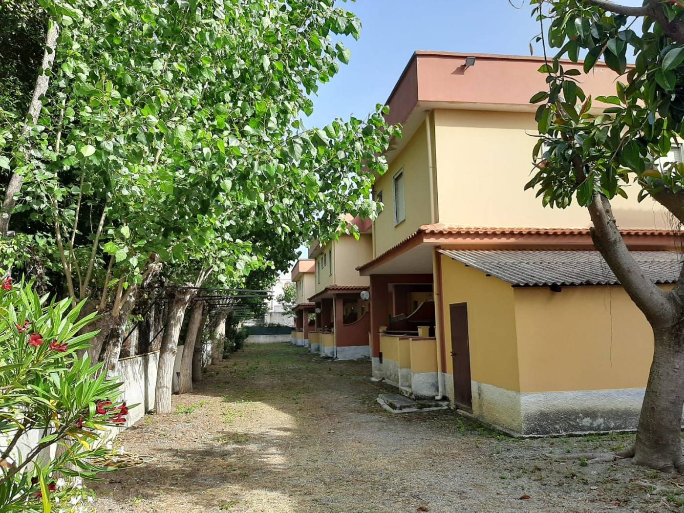 Giardino