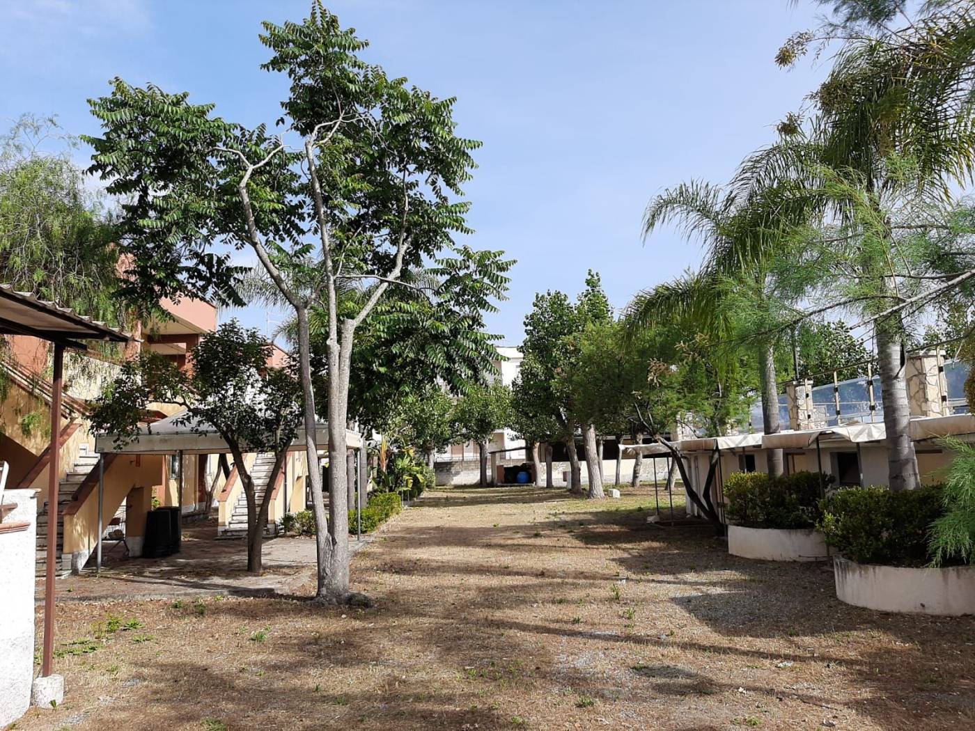 Giardino