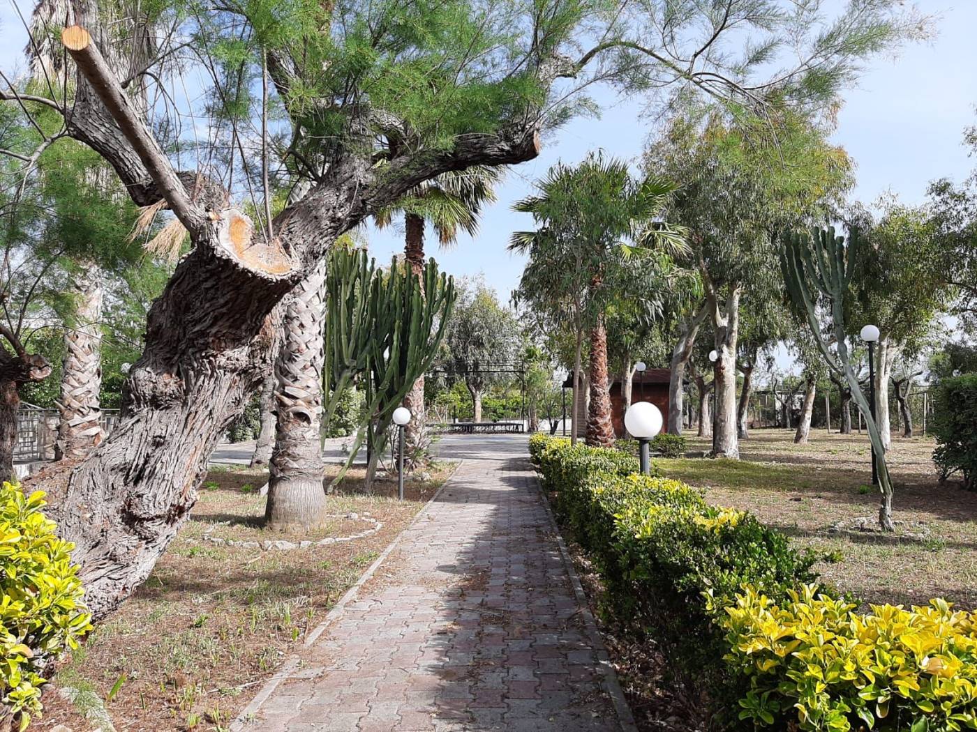 Giardino