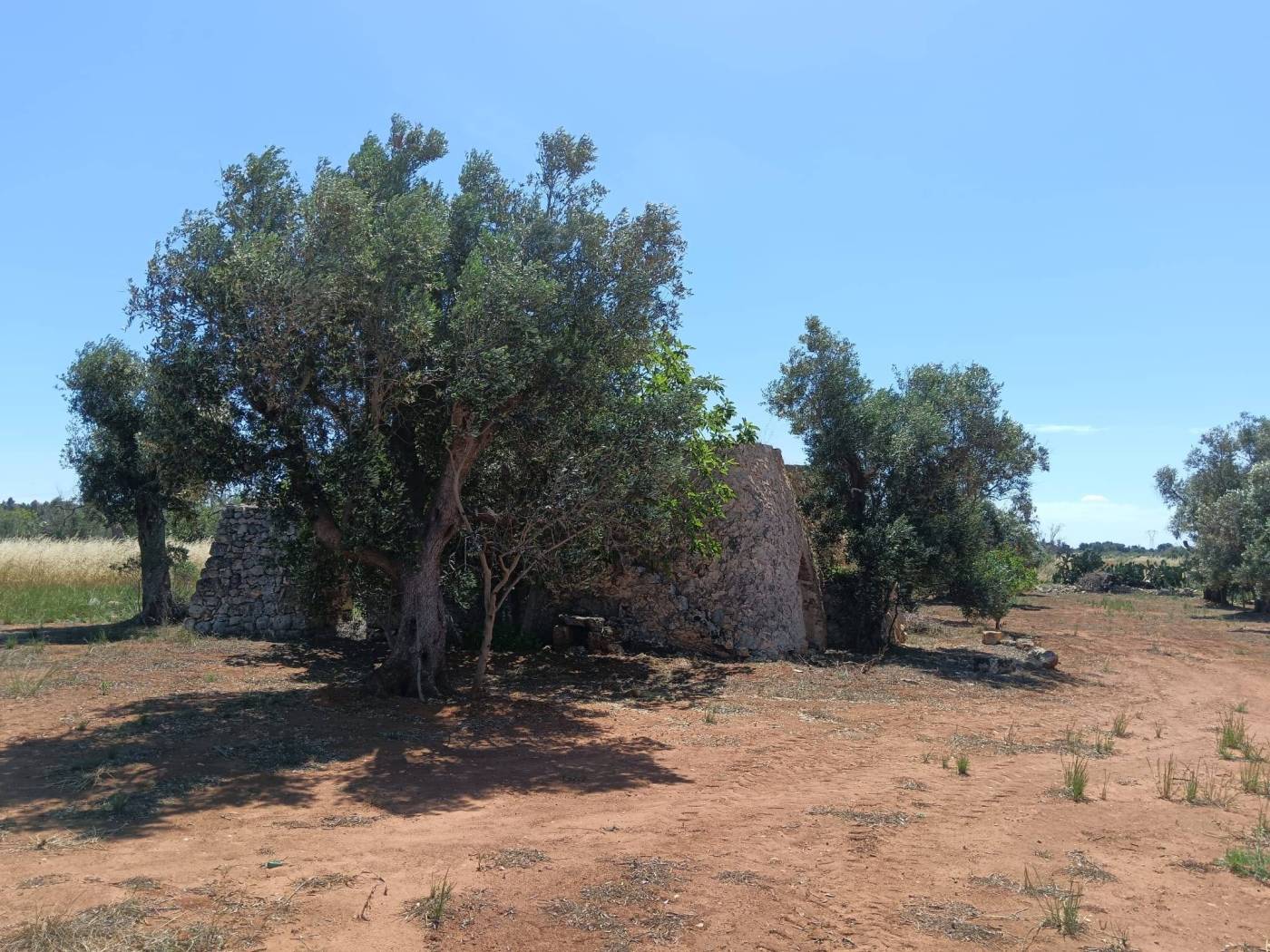 Trulli