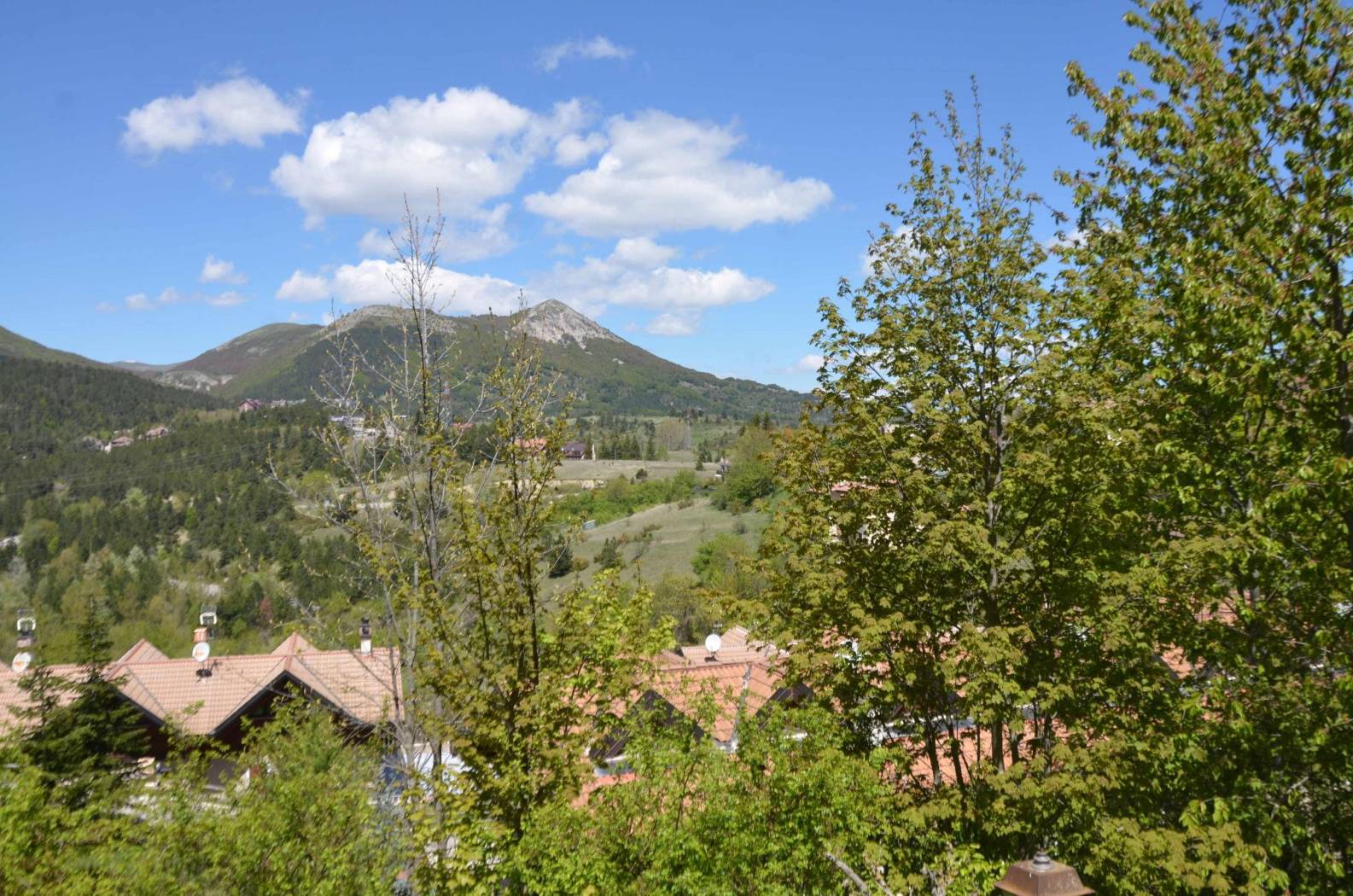Vista