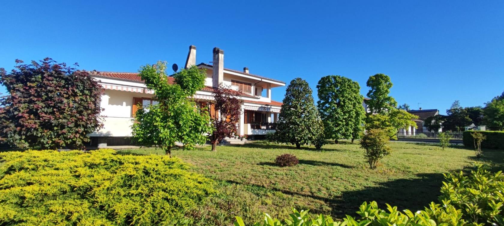 Giardino