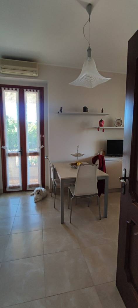 Salone