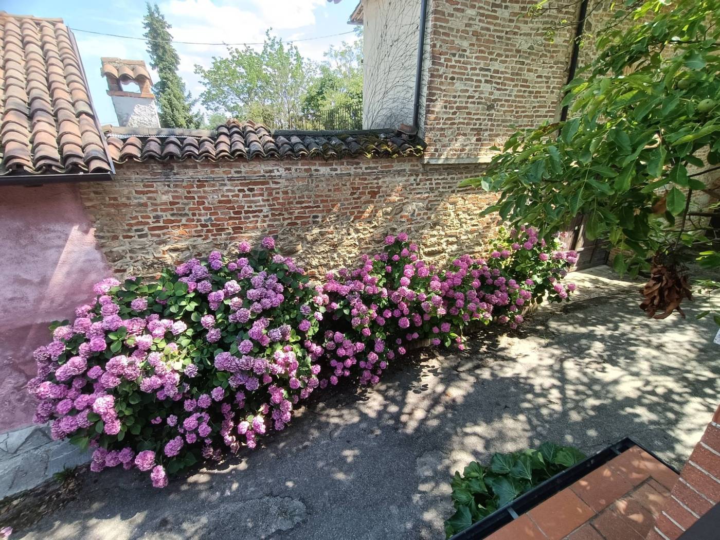 Giardino