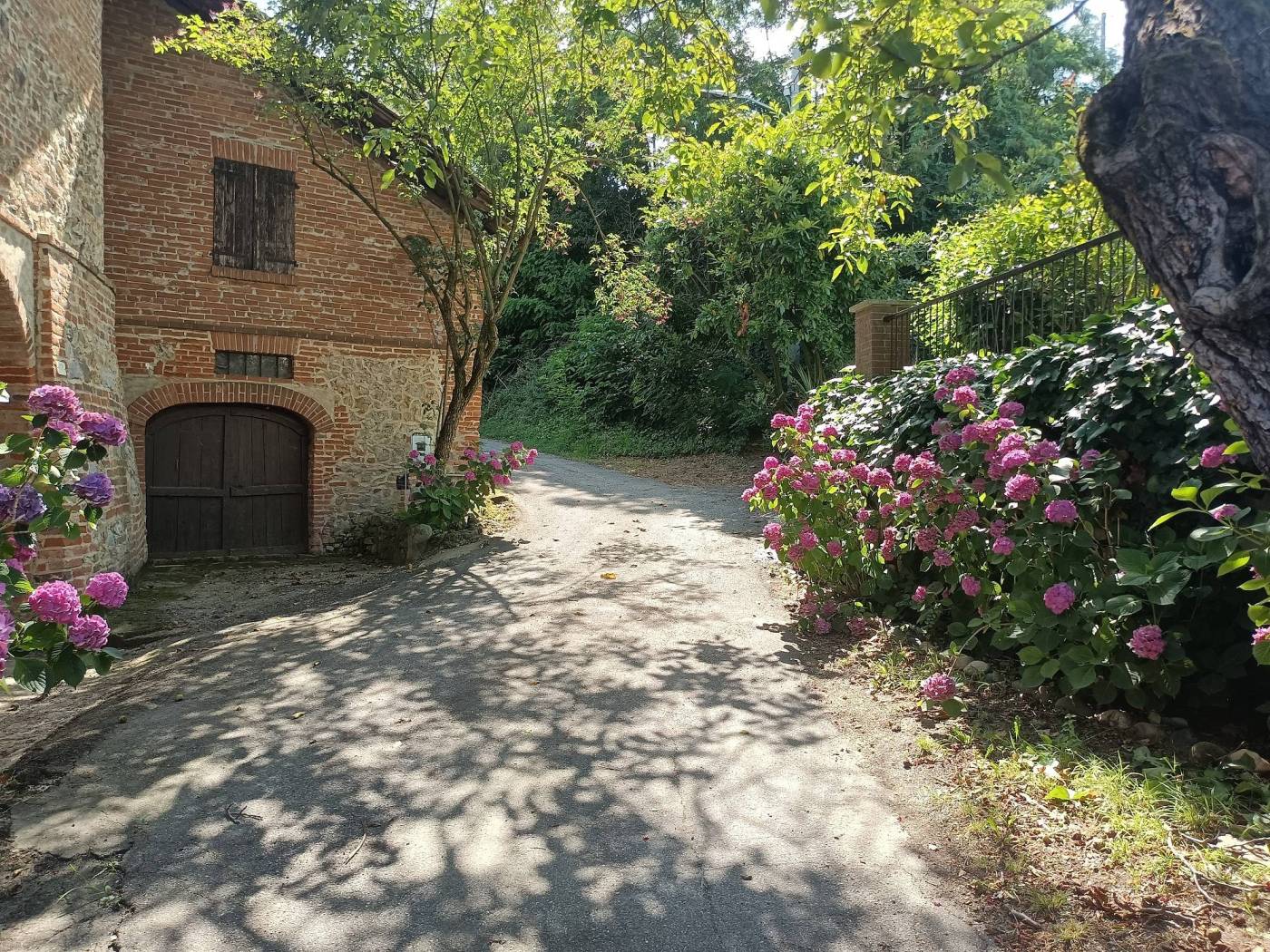 Giardino