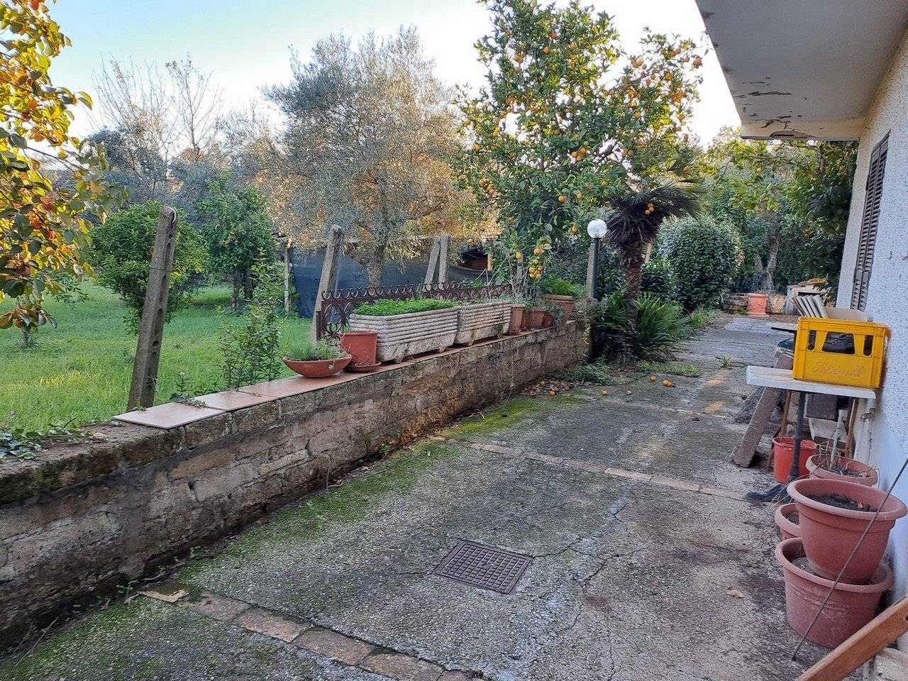 Giardino