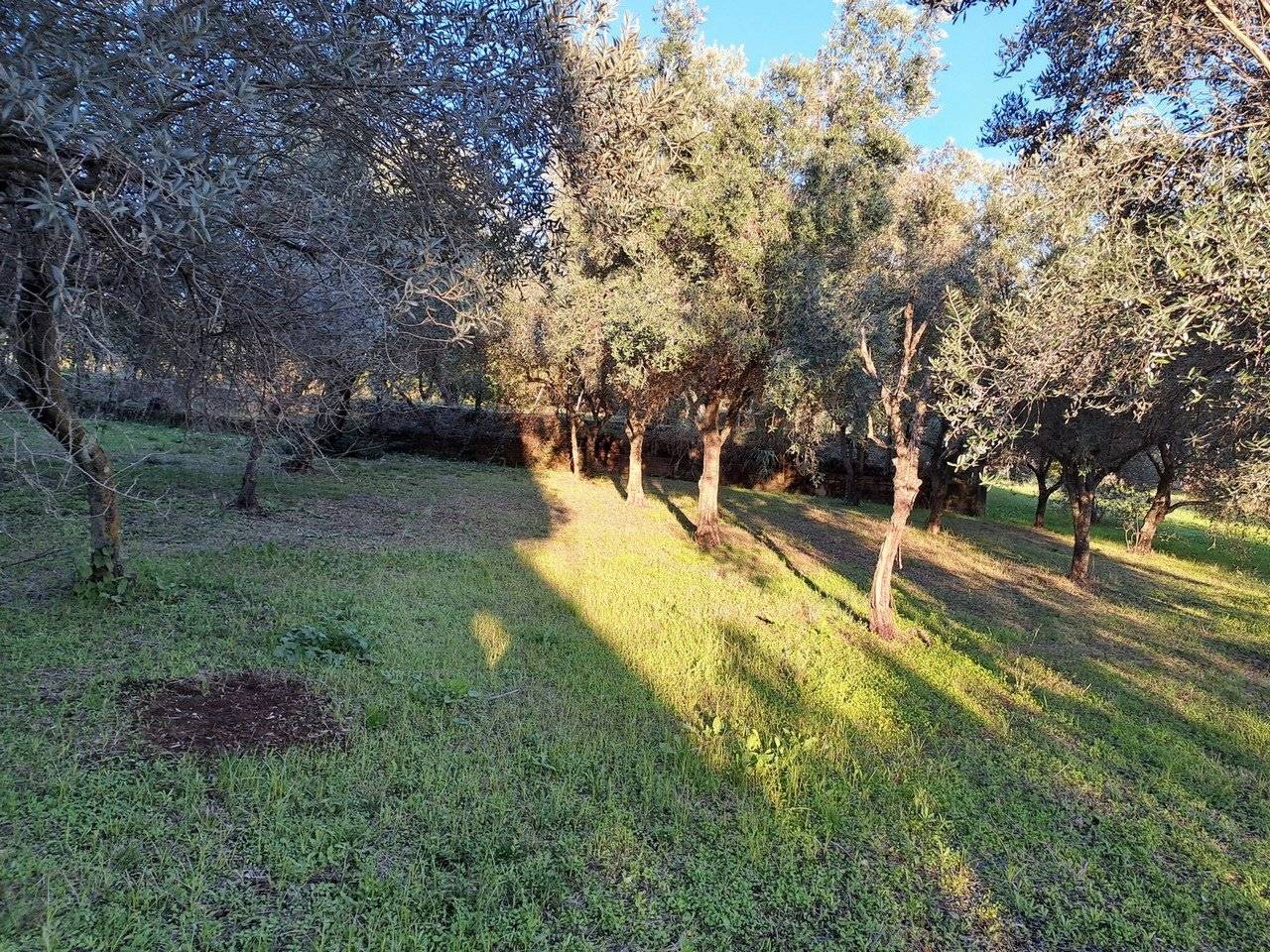Terreno