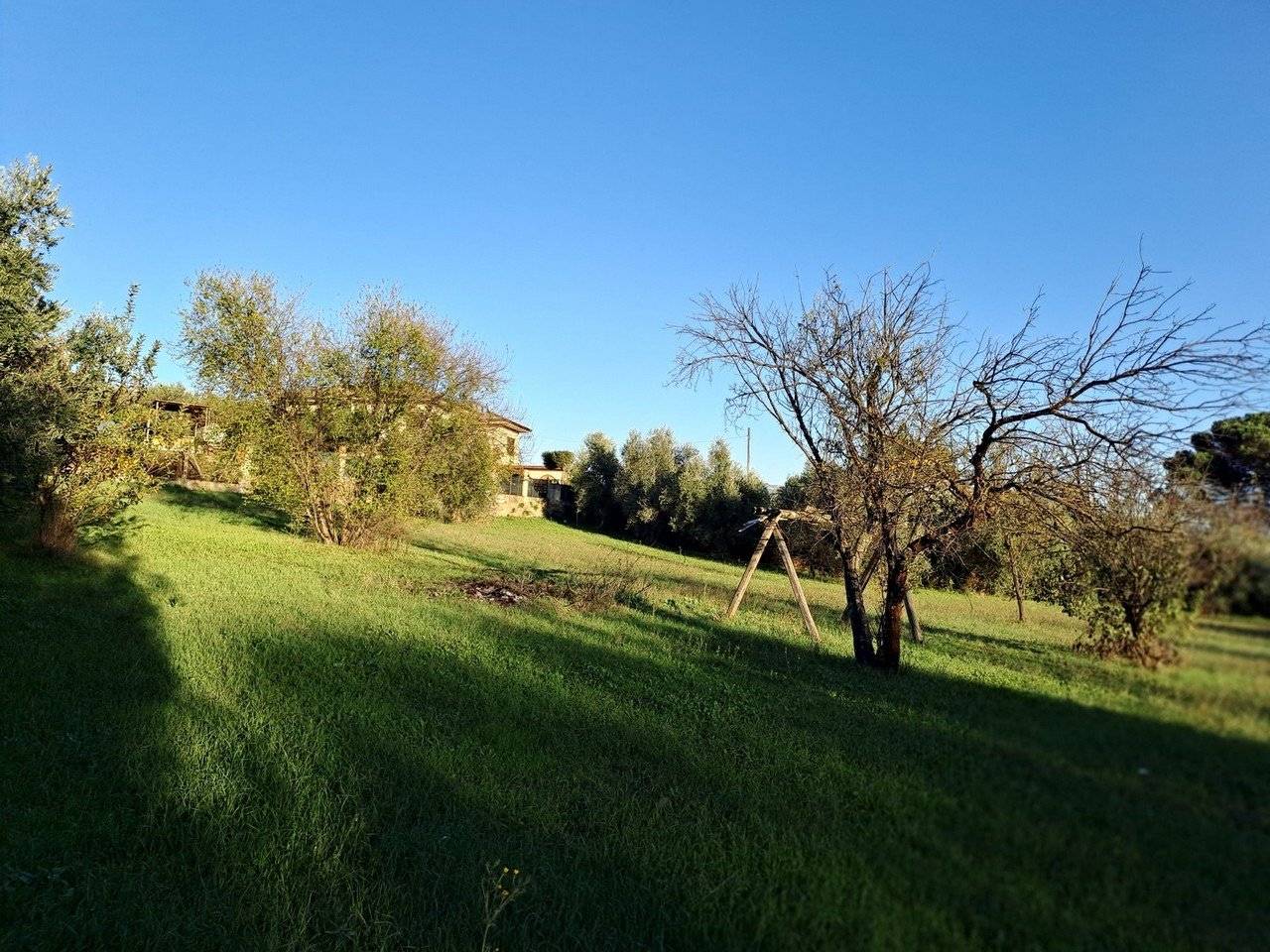 Terreno