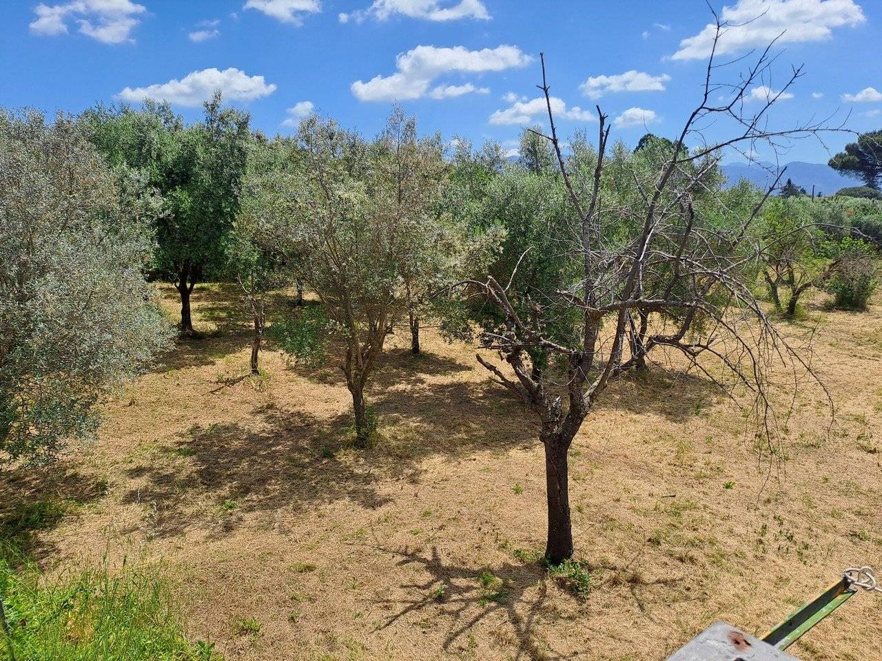 Terreno