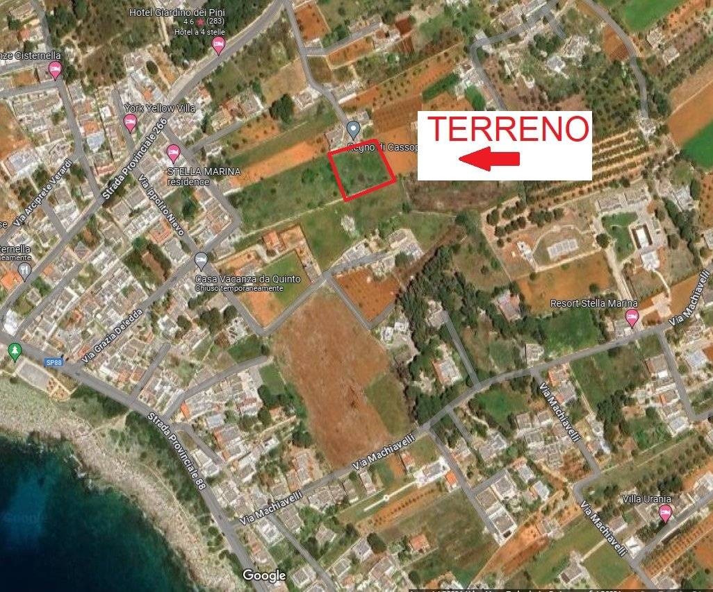 TERRENO