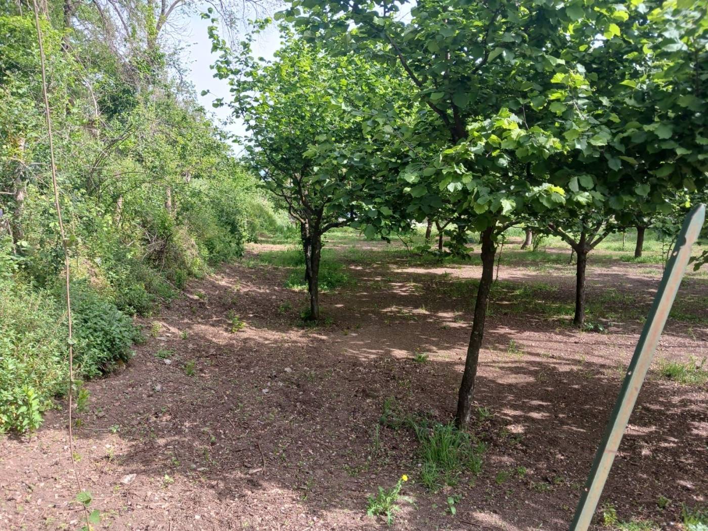 Terreno