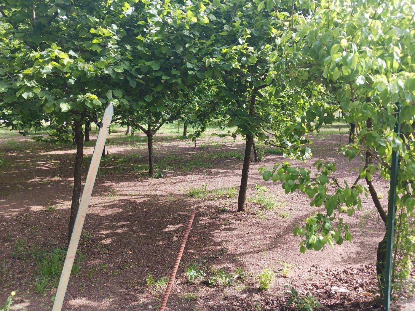 Terreno