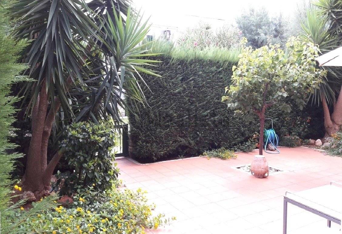 Giardino