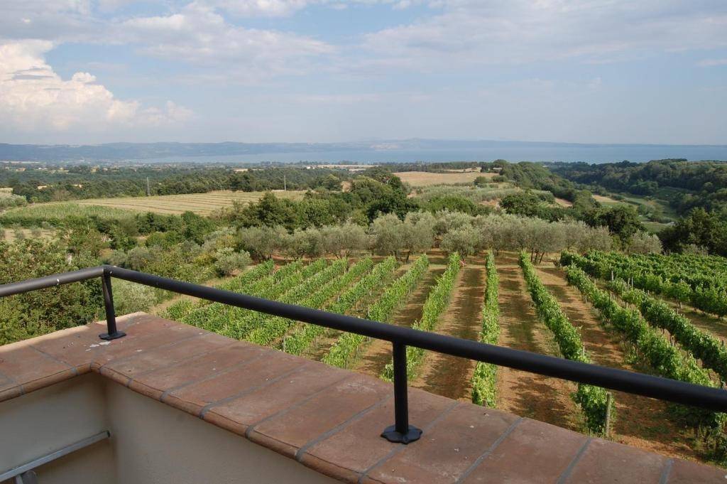 Villa Degli Ulivi