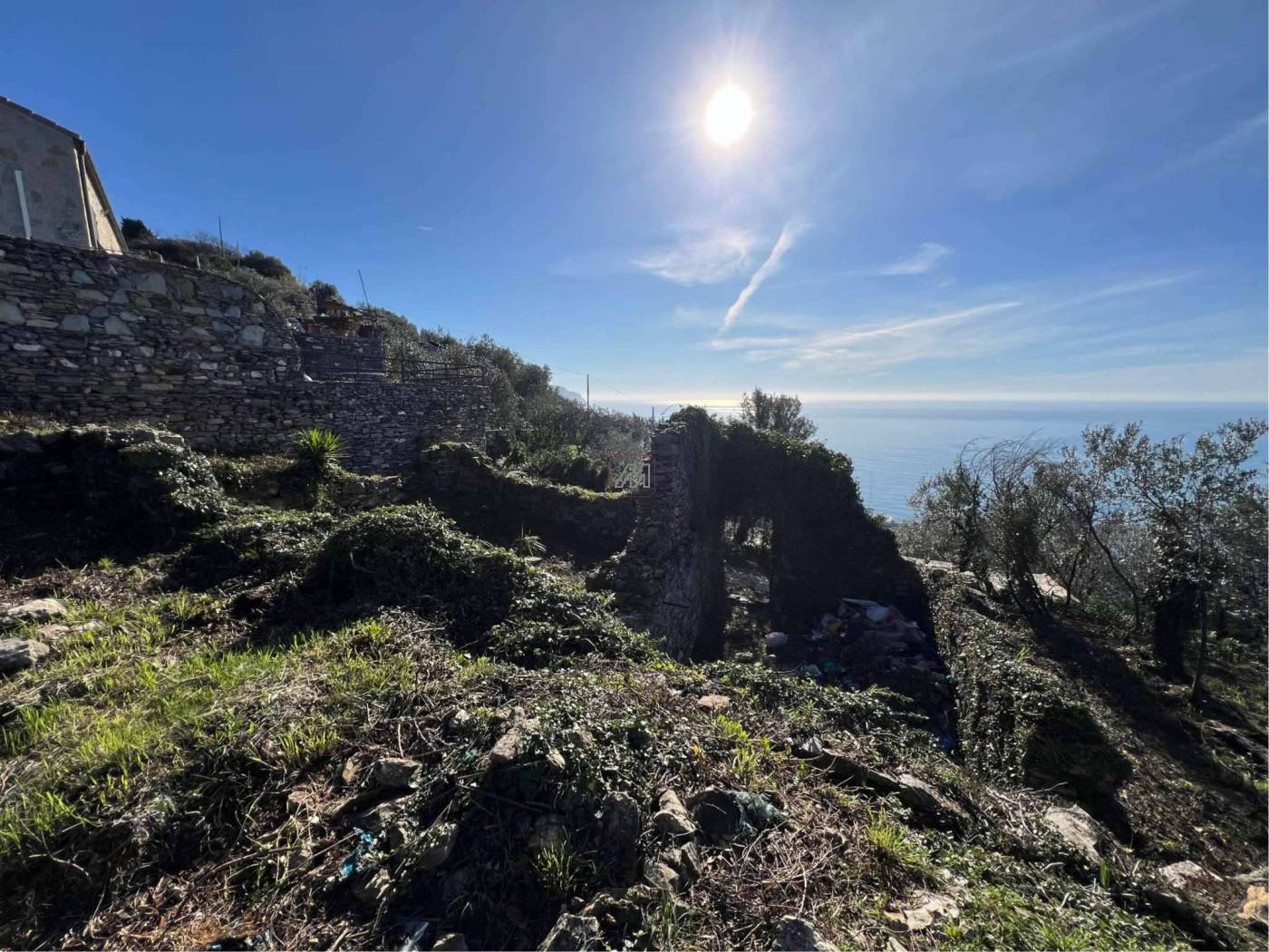 813f8913-d20d-4f99-8847-b55fea67fc28