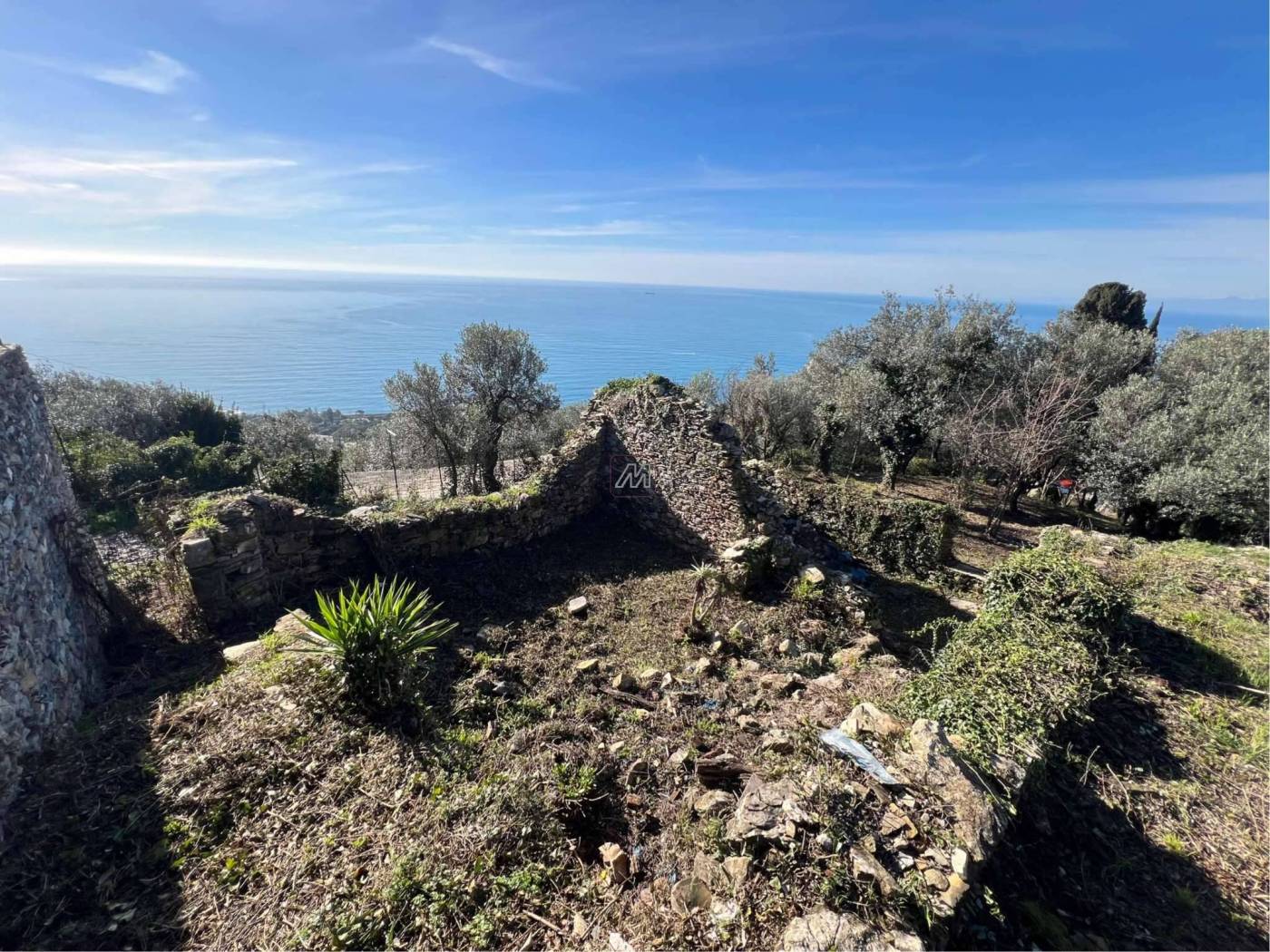 71d3b709-278a-4439-835b-8aa454cc710b