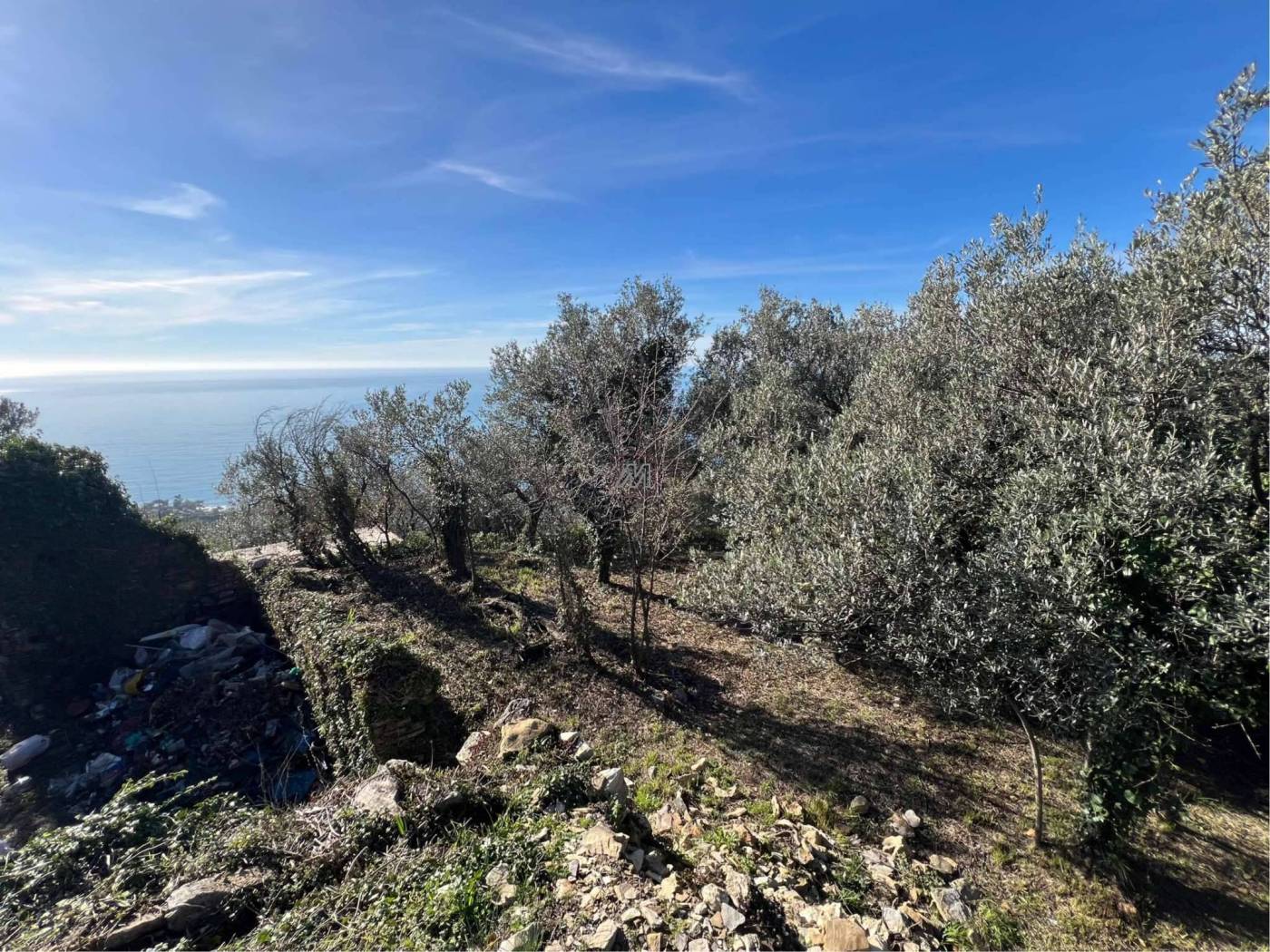 8b37fa23-59d4-4713-854a-588dfc6935c8