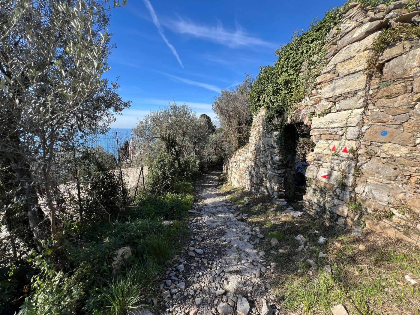 9fae679c-d9ab-4b00-9ad6-81006294b75e