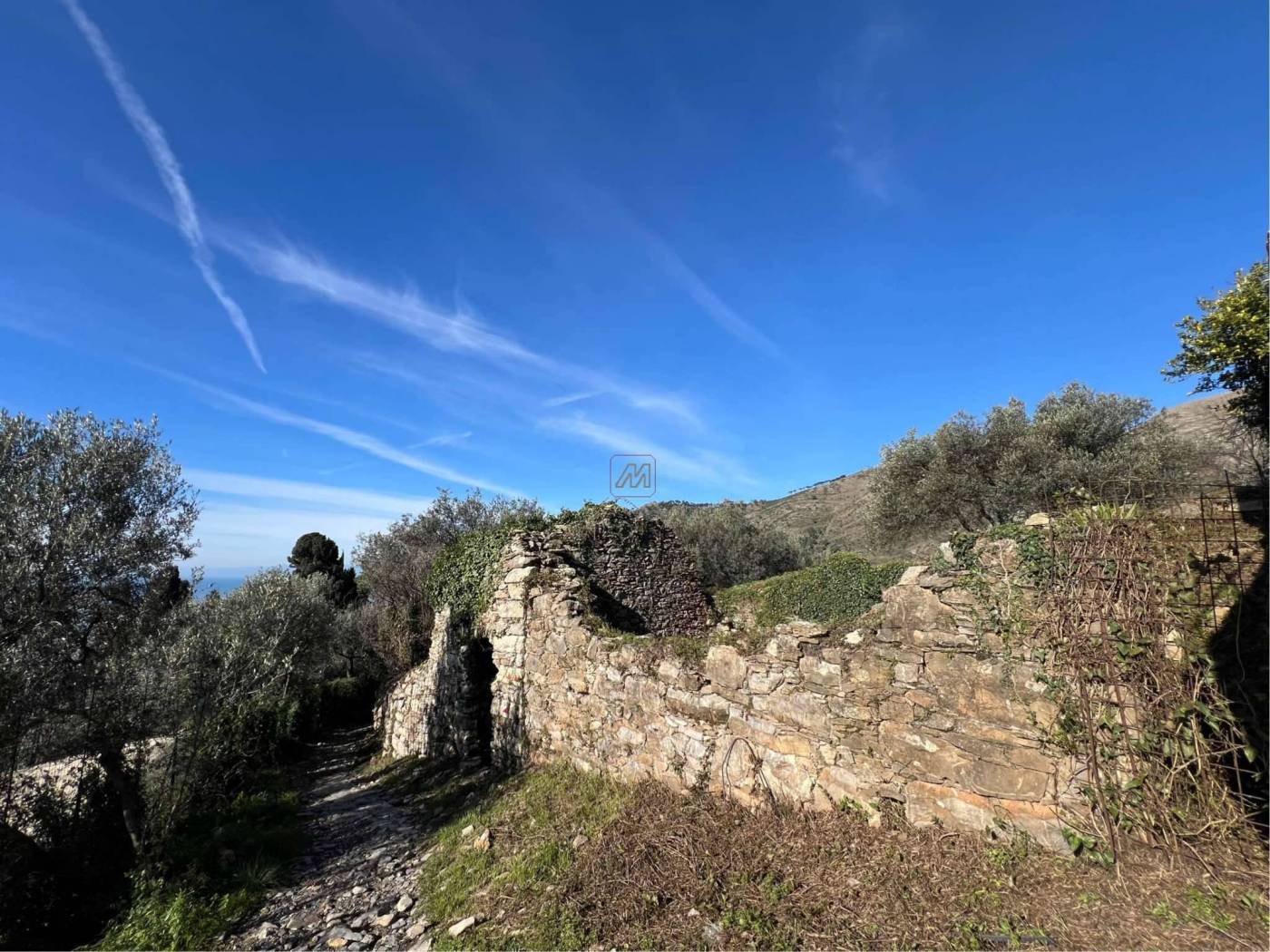 60e0774d-d454-40f9-a457-d7353acc6da8