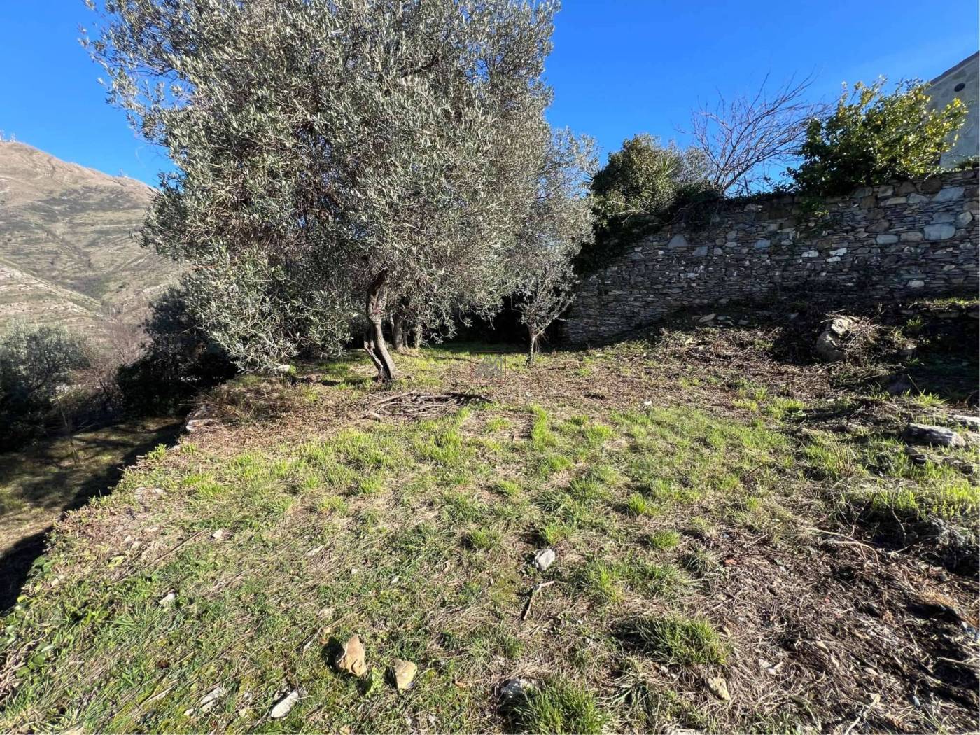 6e96f046-55d0-448b-8142-d37e43bbbff5