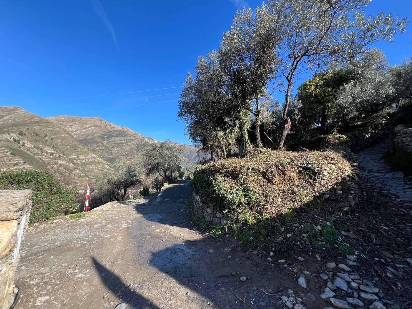 07cd5864-5d61-483d-8b1d-dfabb9e2973e