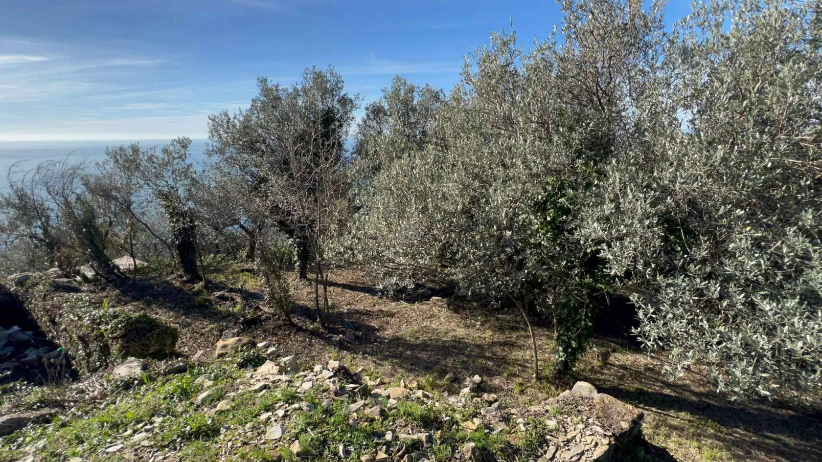 21cb818a-7db2-4f38-99d4-fc0717fa717b