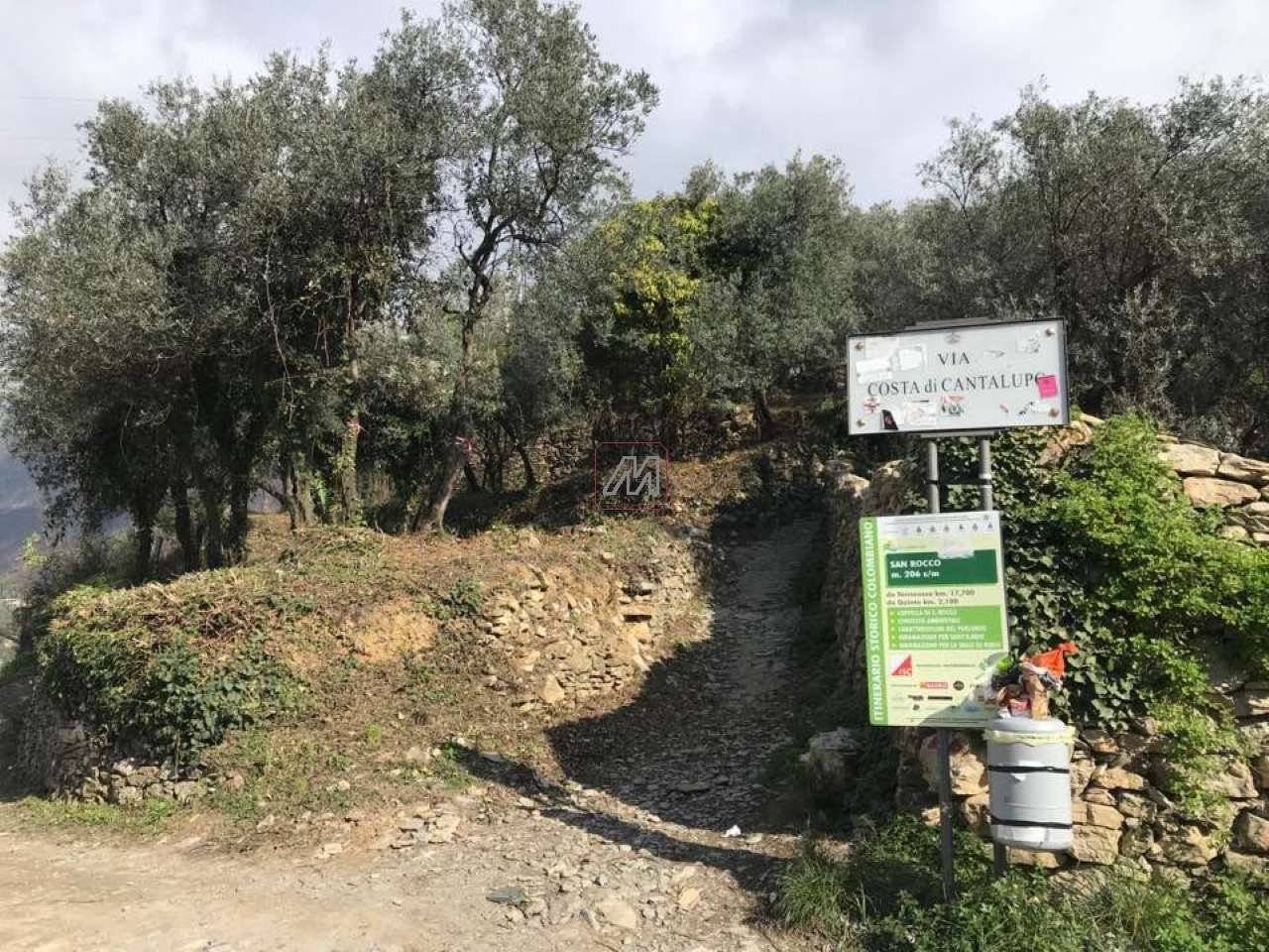 3fc0d5d2-a65b-4edd-b5db-ac1f0e2fa694