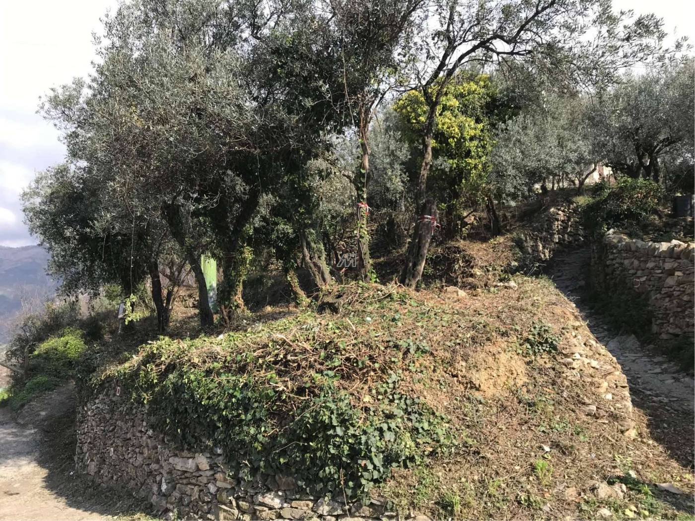 9d90b71b-7319-4fa0-8ad6-6cb3a63eeb05