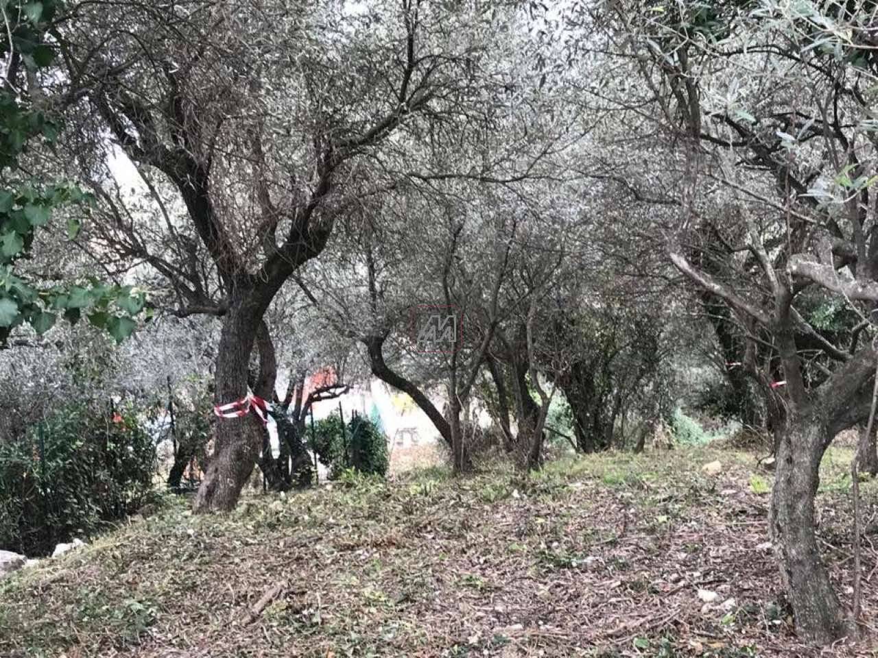 46b30c51-491b-4a6b-a5a5-a63beb8d9852