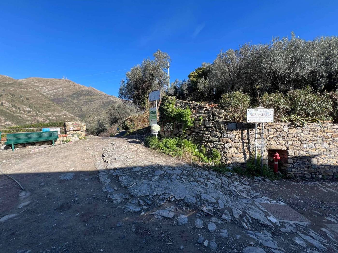 13c812d8-3a8d-4dfd-afa7-2ea441fbbce3