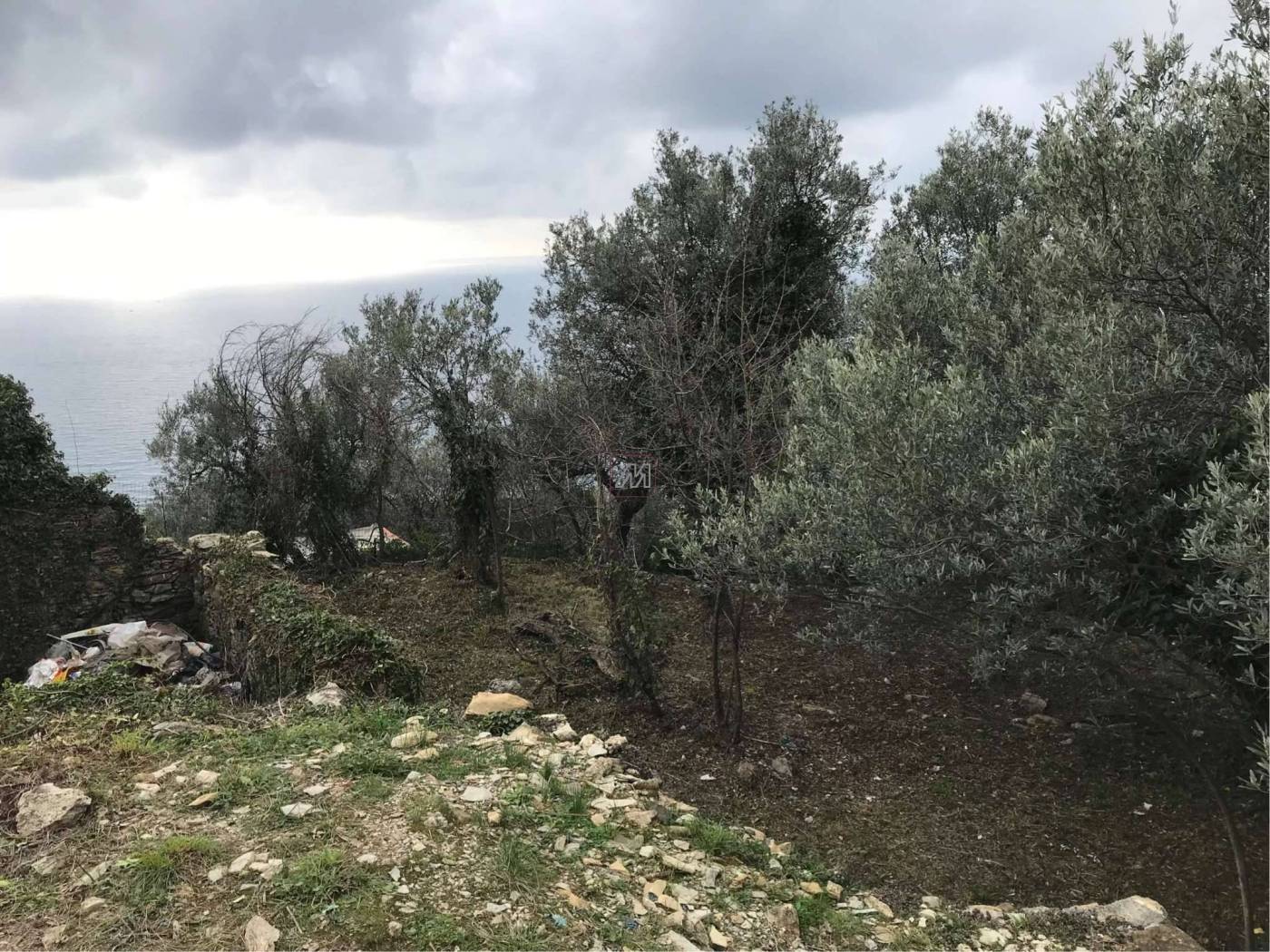 c9c38de2-05b4-43d1-9bc5-518da0be4dd4