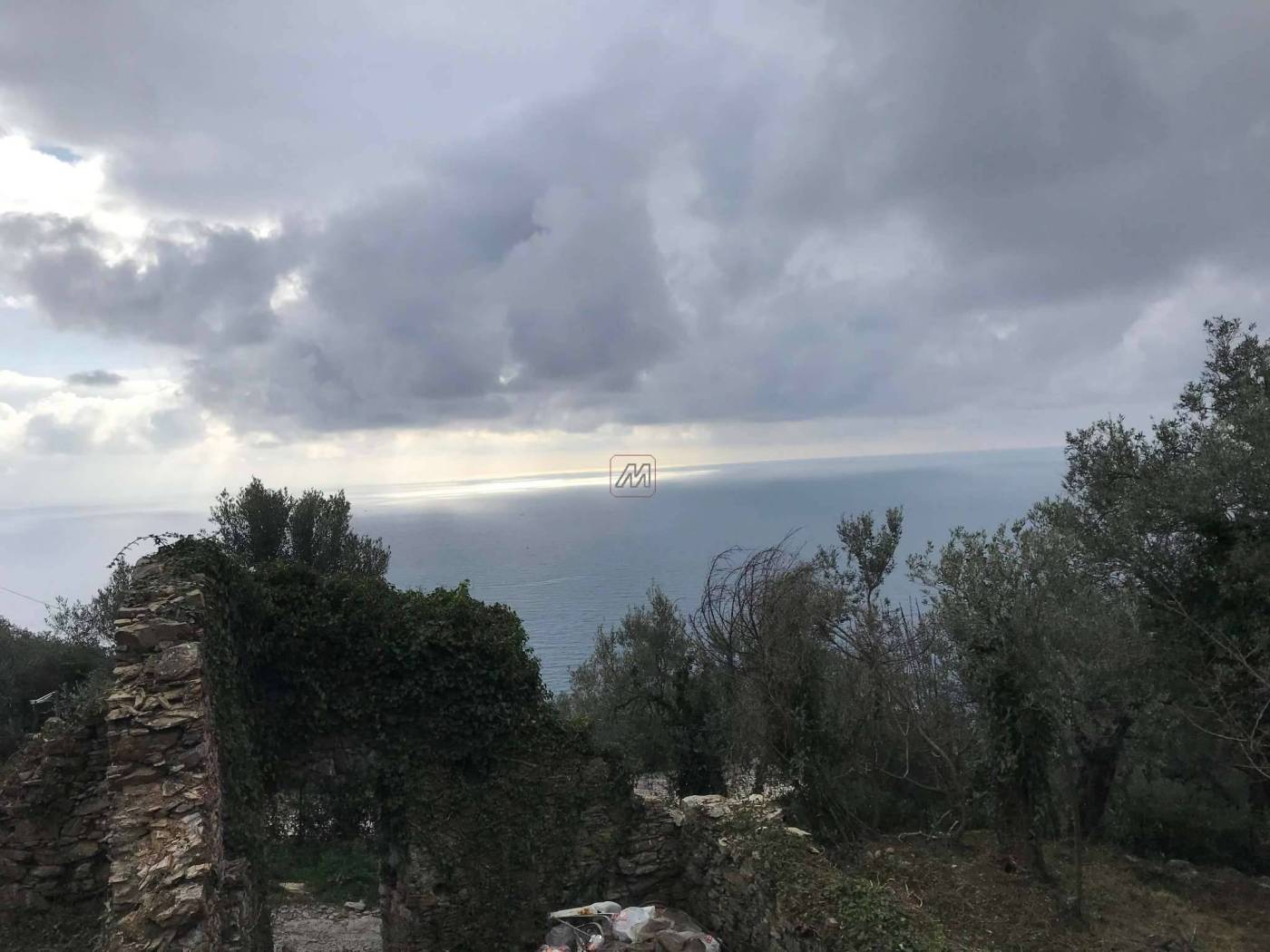 f4d82f3f-f4ff-44a0-8949-345a75716e0c