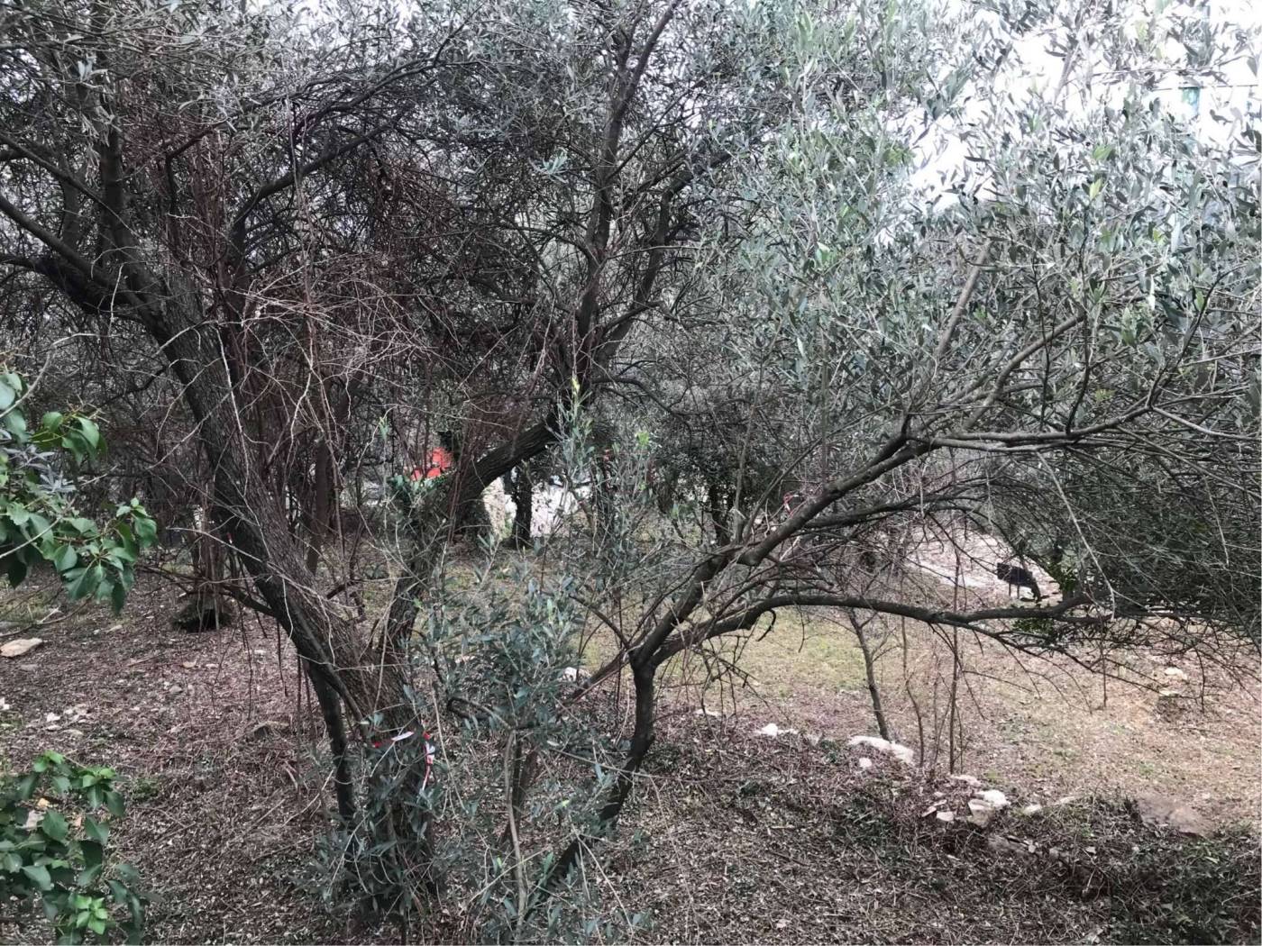 f9f22a78-1198-4fc8-819e-1bae9fb8aeff