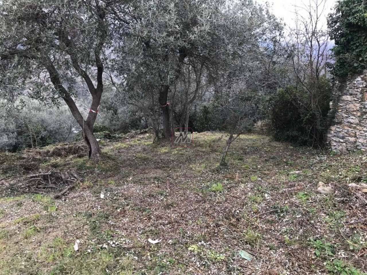 3a72412b-f1f5-4b29-93bc-2d658b689f5d