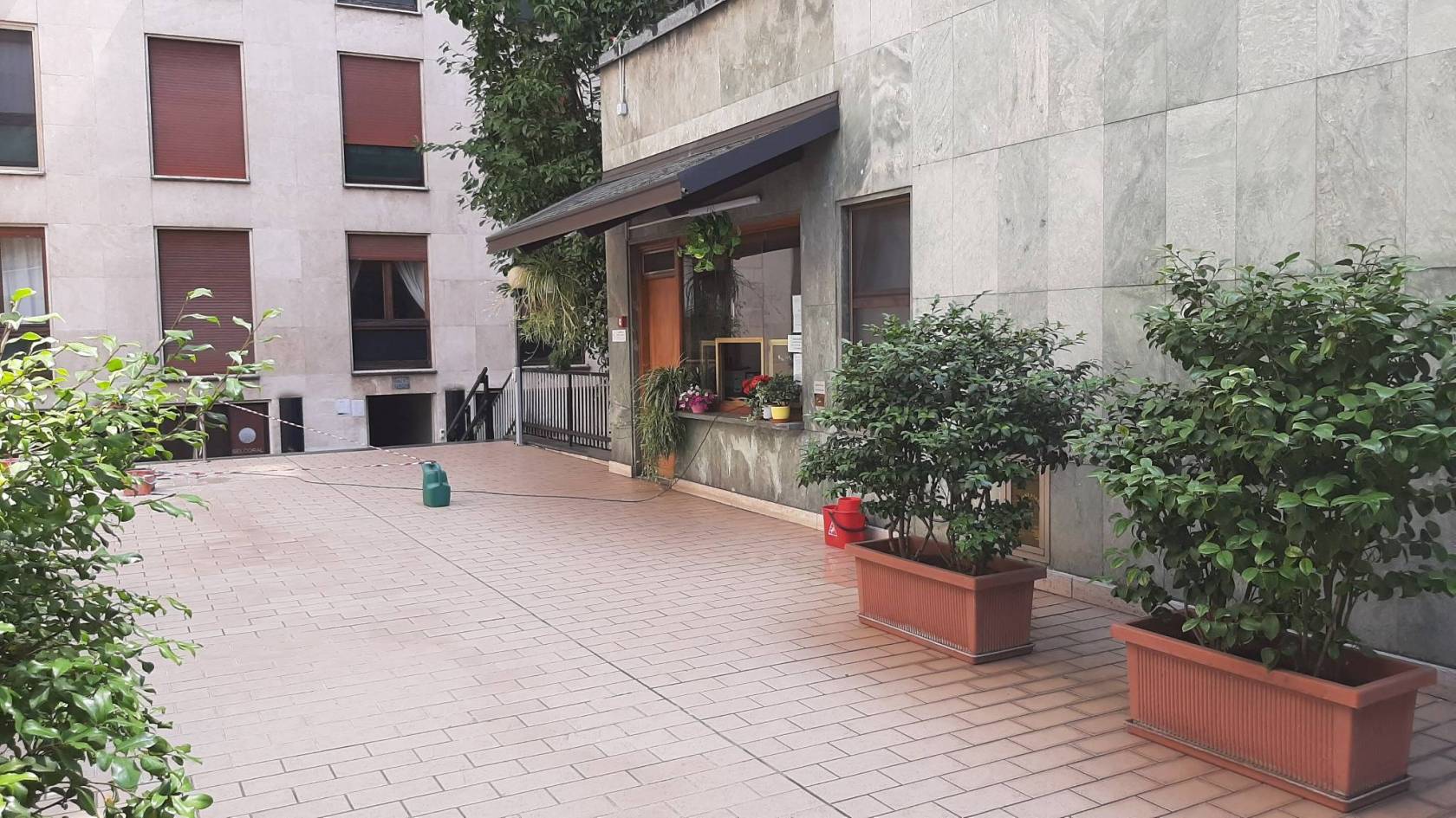 Giardino