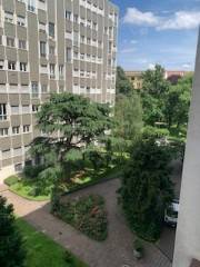 Vista