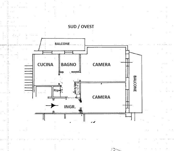 PLN