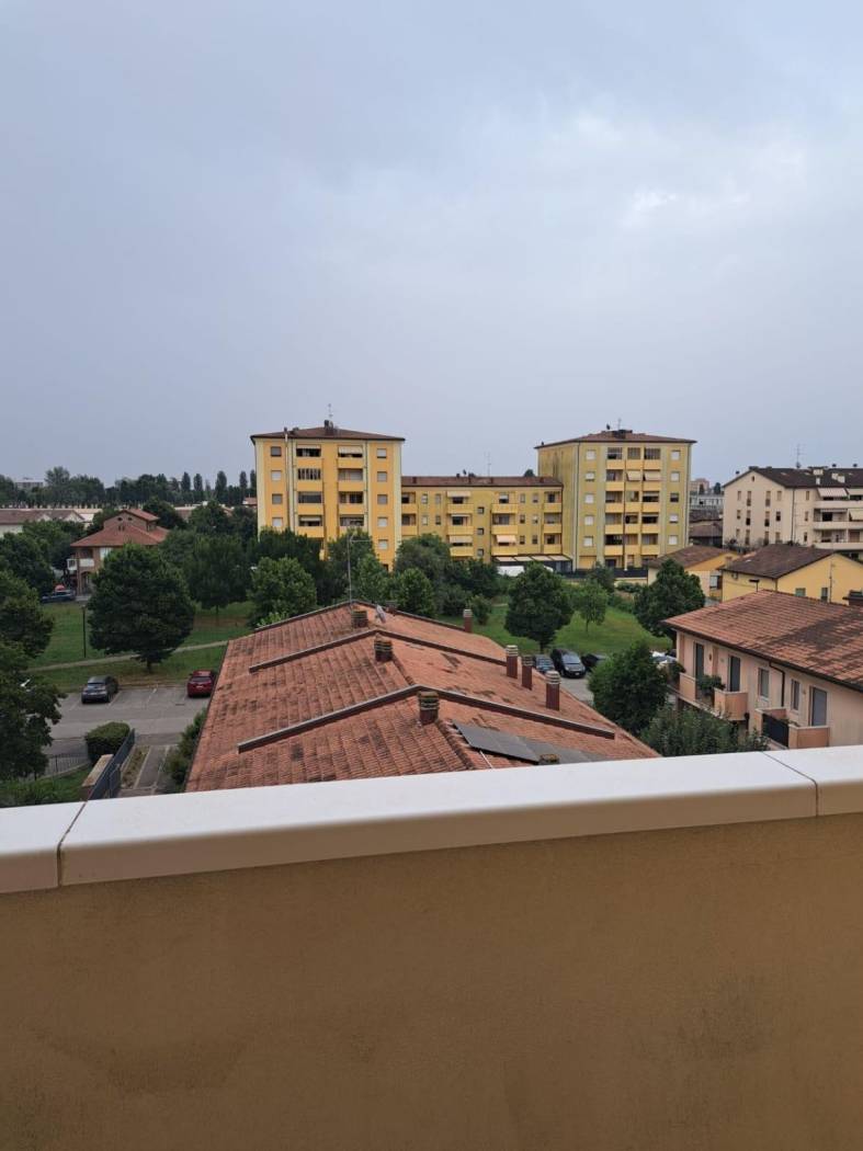 Vista