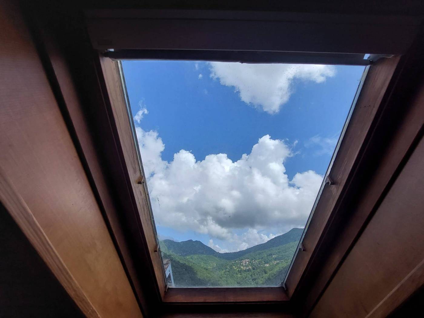 Vista