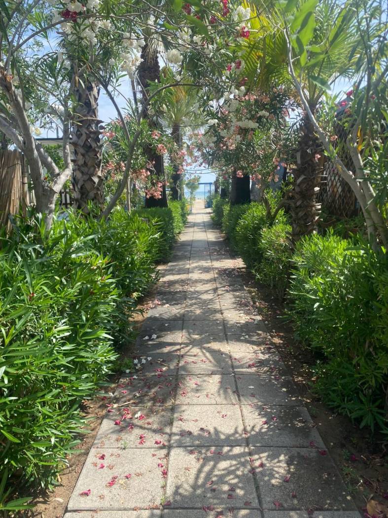 Giardino