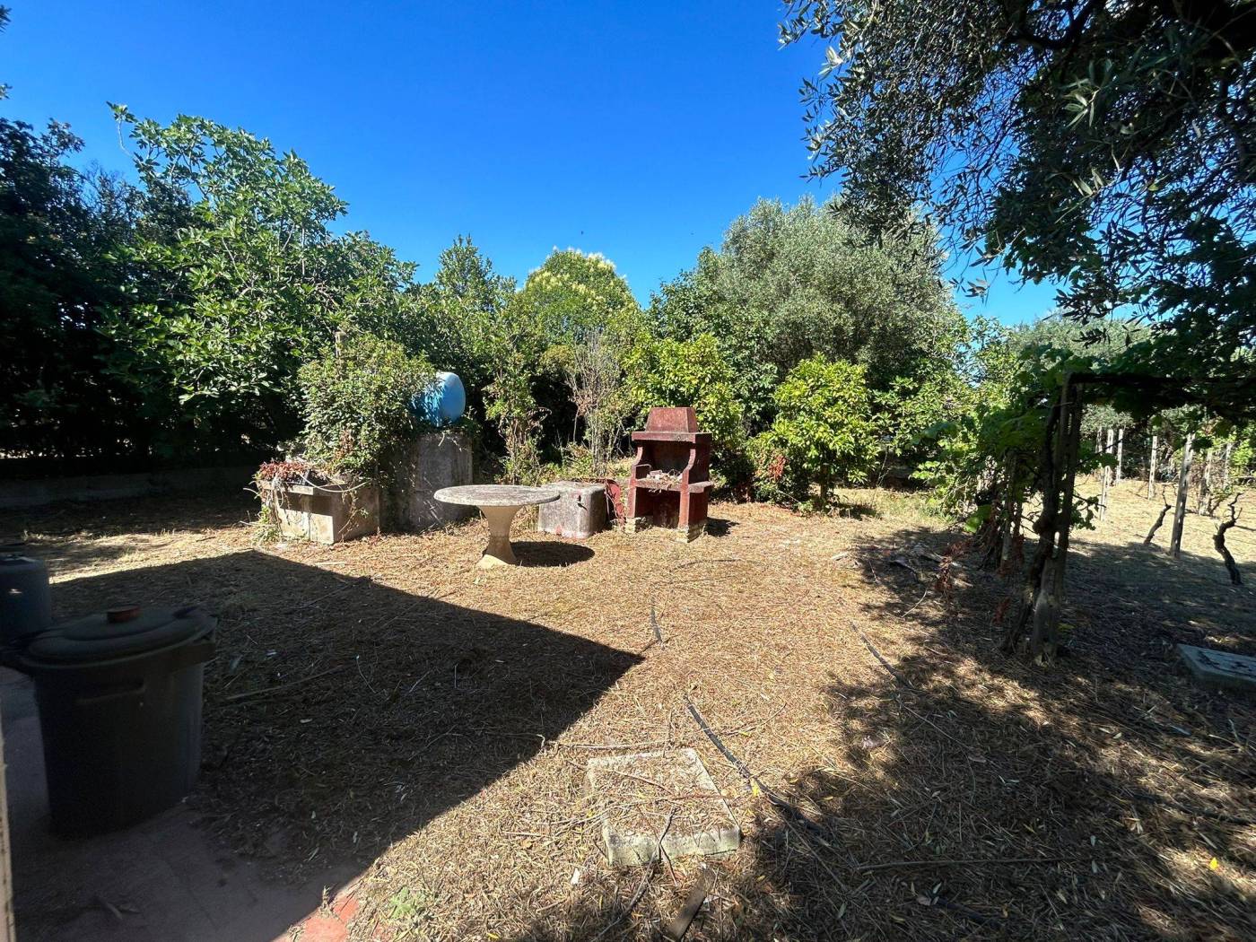 Giardino