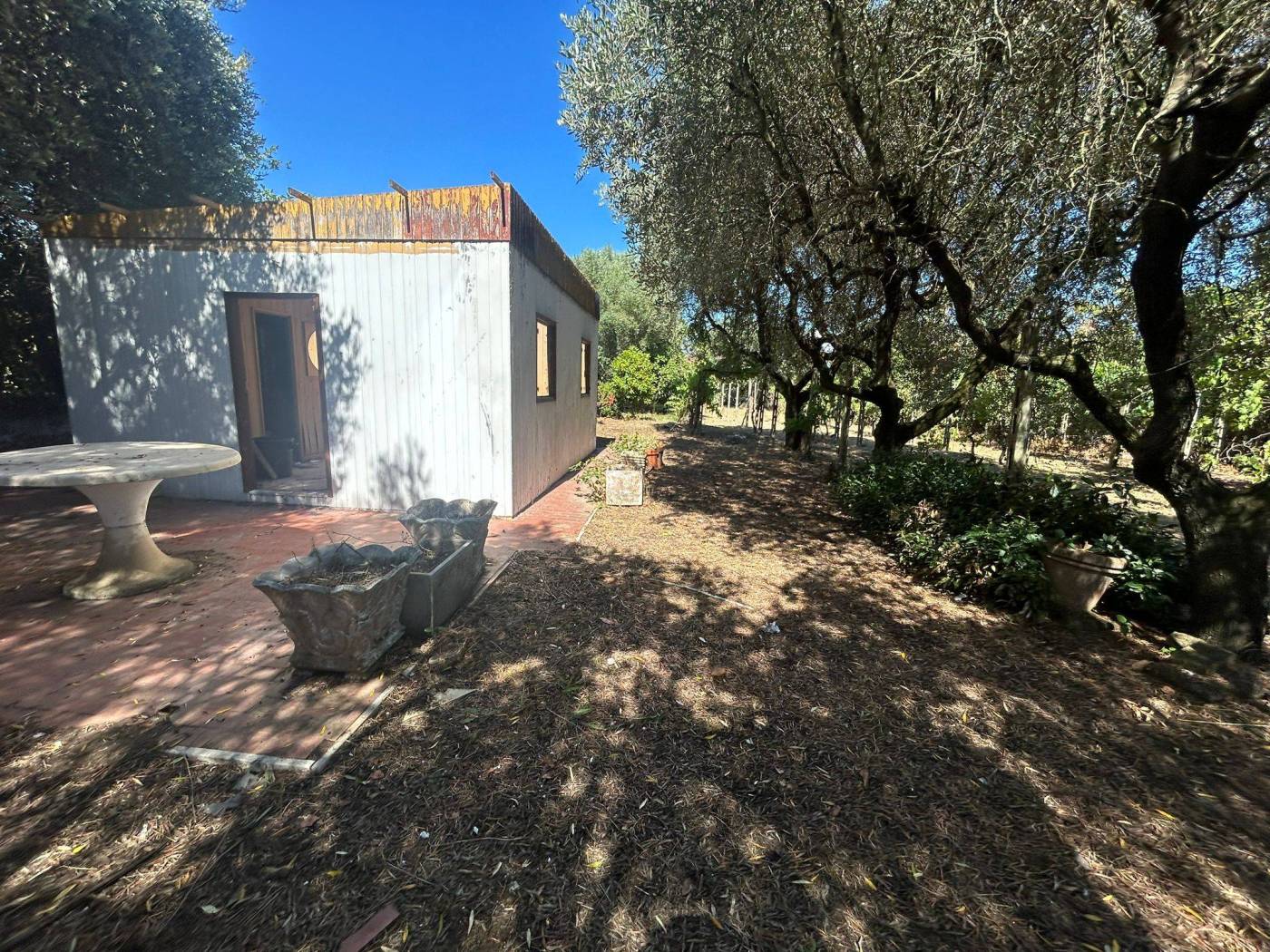 Giardino
