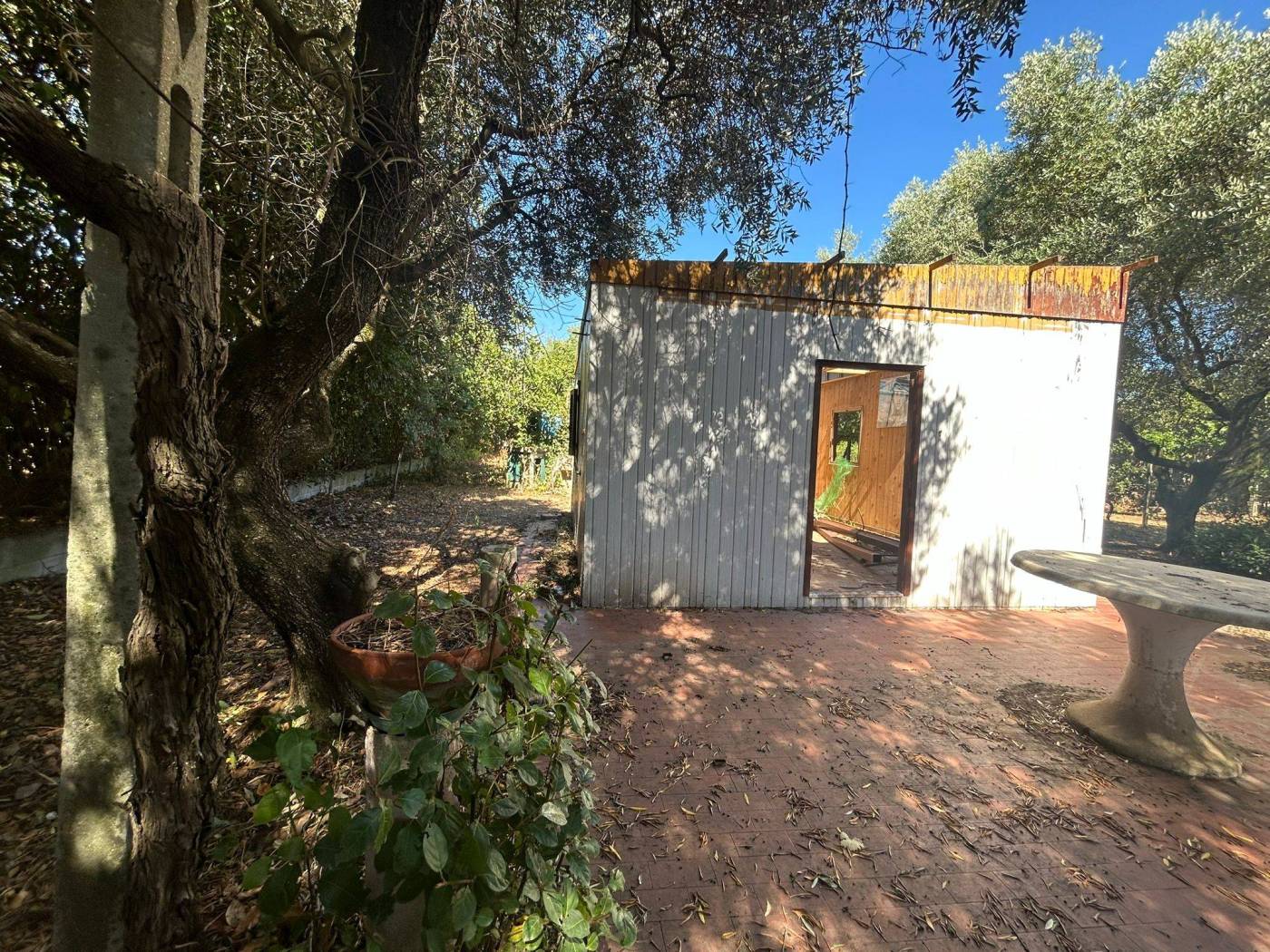 Terreno