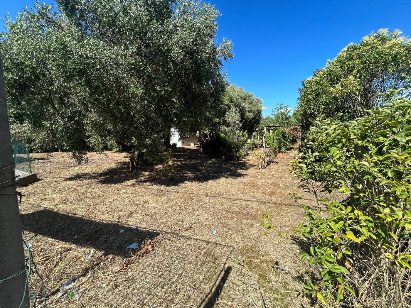 Terreno