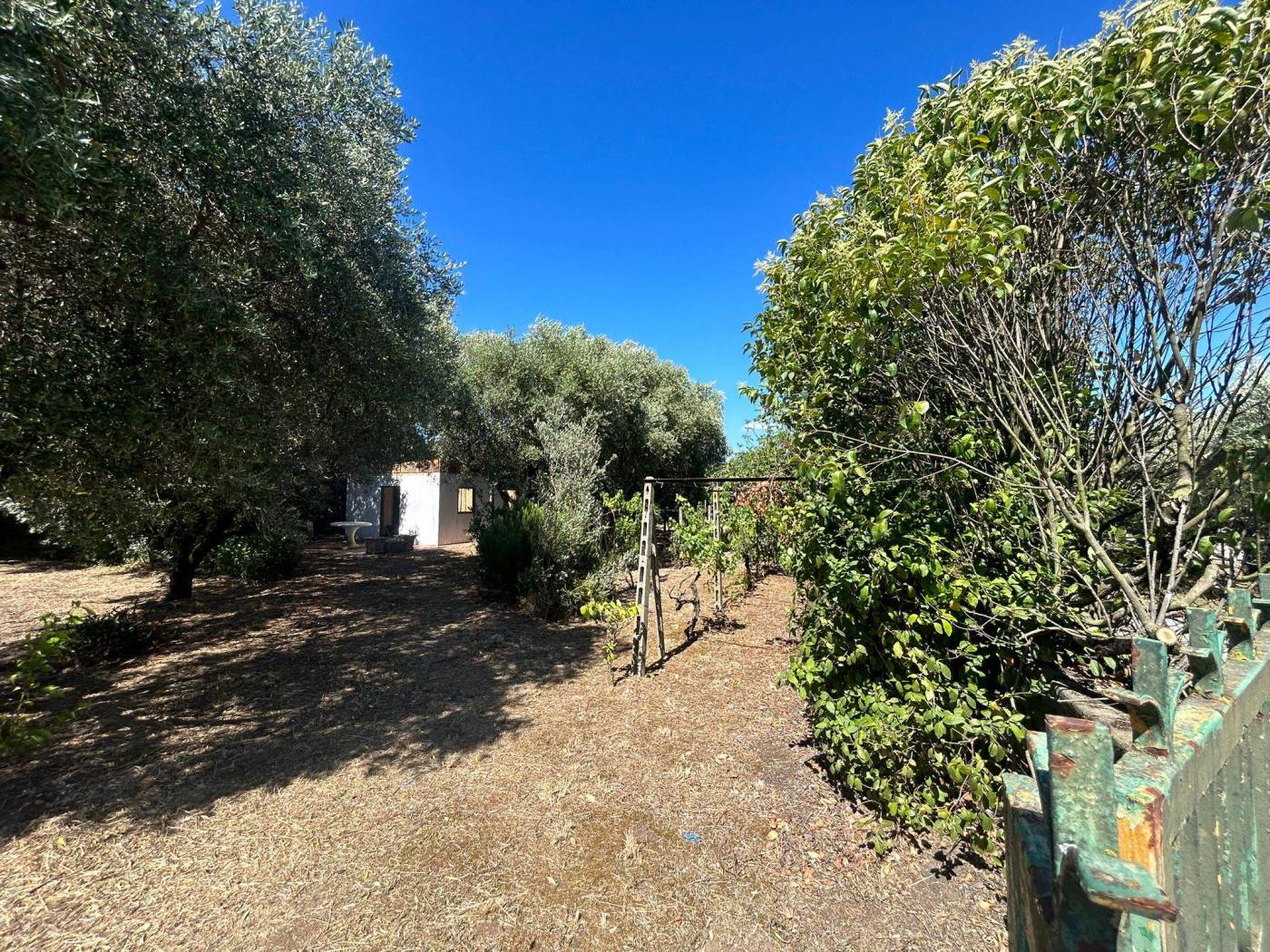 Terreno