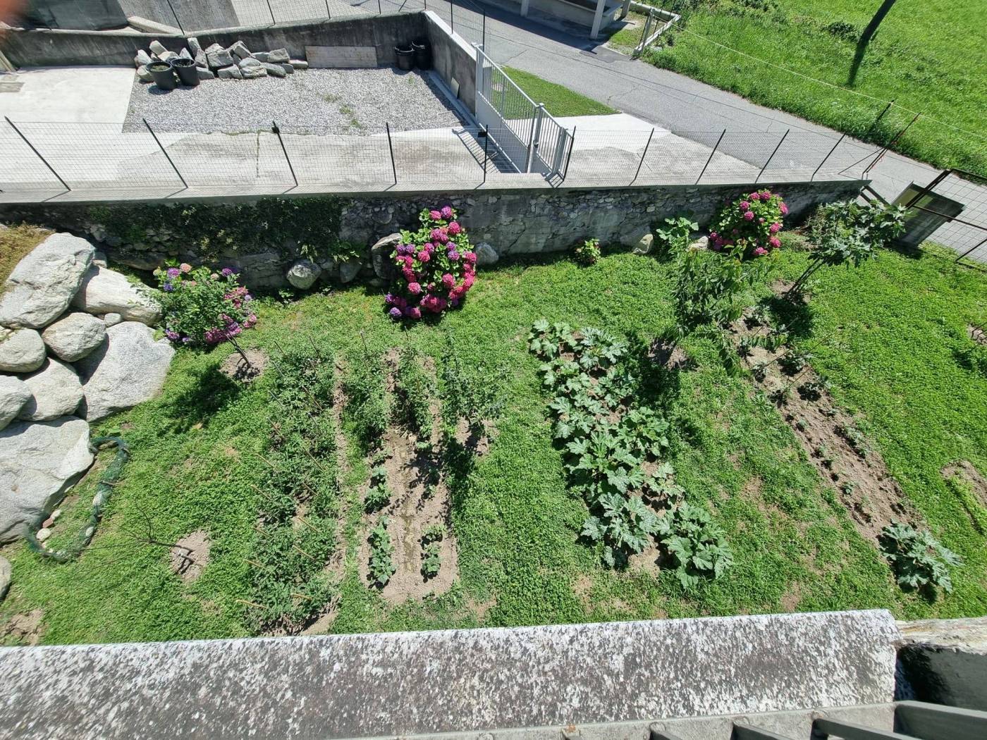 Giardino