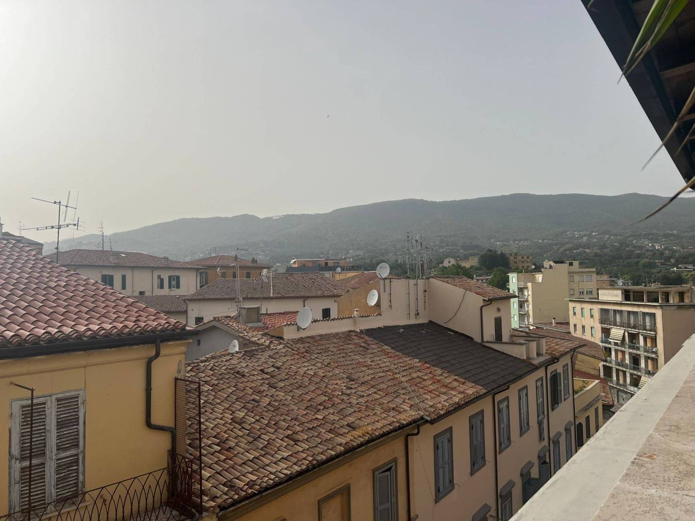 Vista