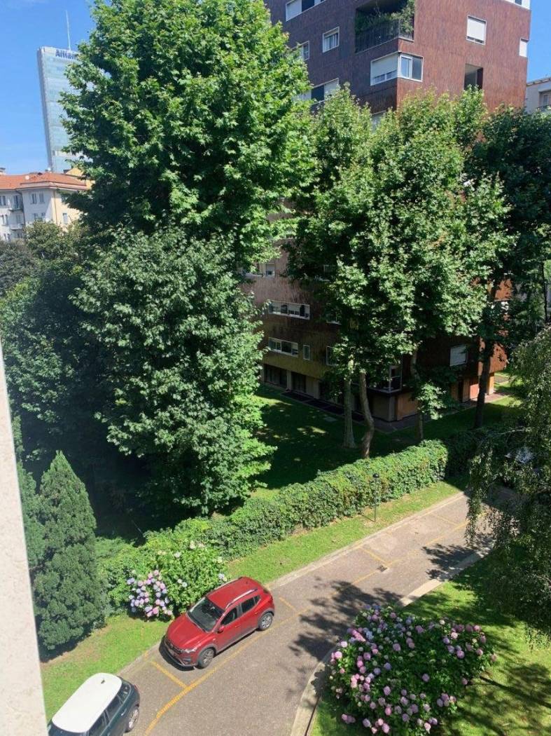Vista