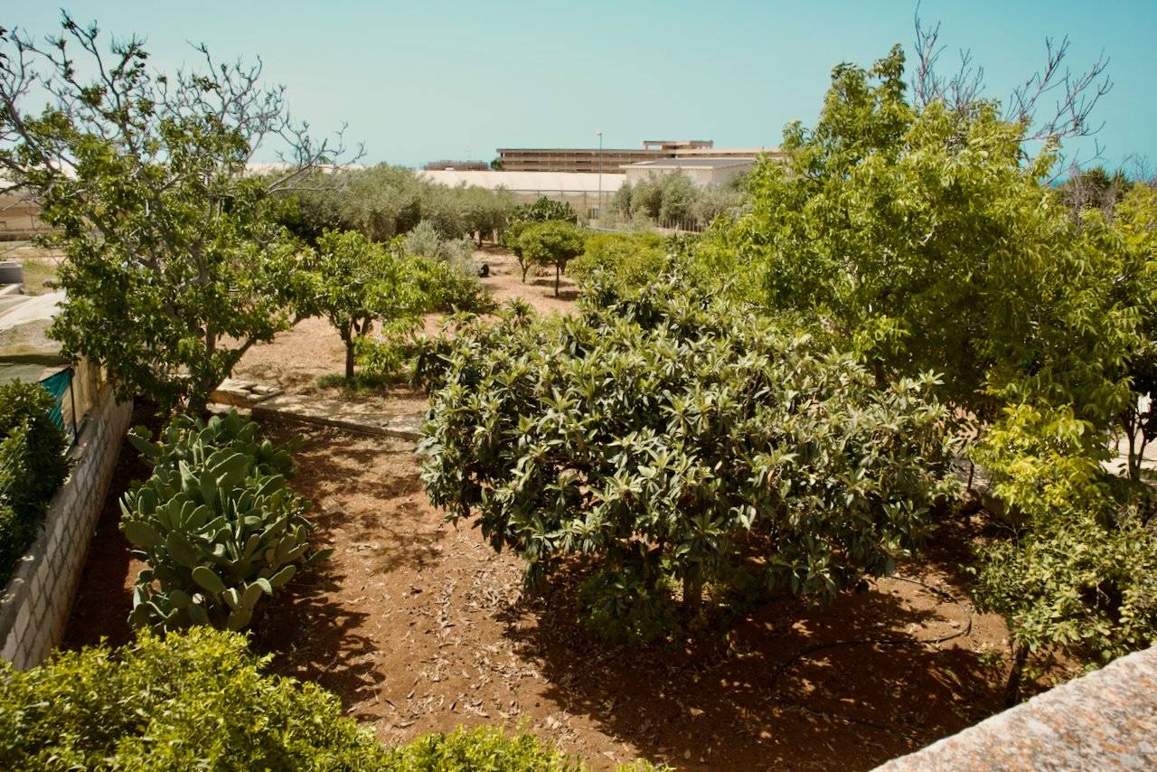 Giardino