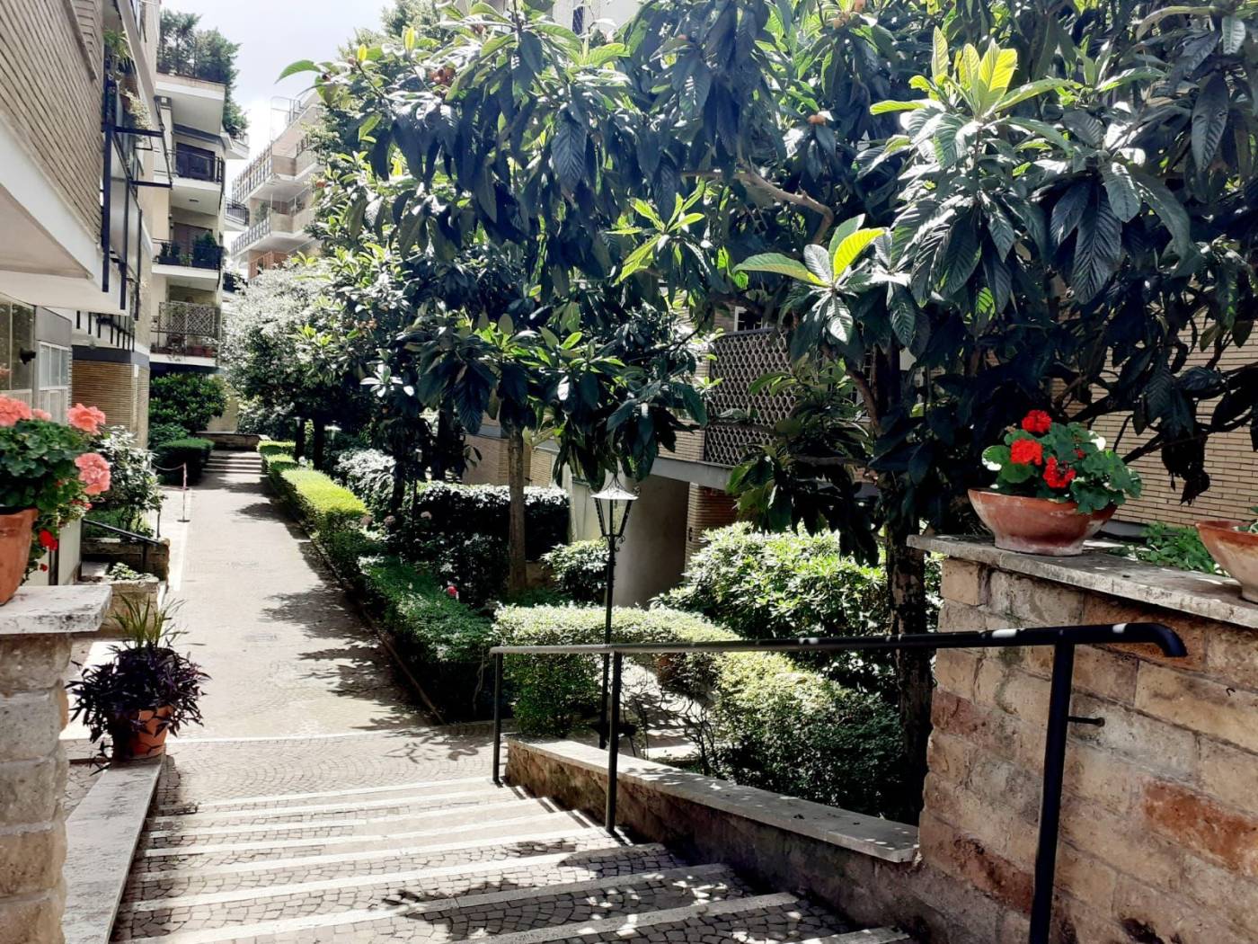 Giardino